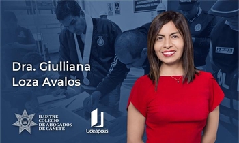 Etapa de Investigación Preparatoria
