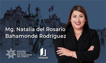 Código de Ética de la Función Pública