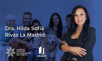 Derechos de las Mujeres y de los Integrantes del Grupo Familiar