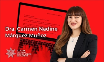 Redacción Profesional de Solicitudes Administrativas