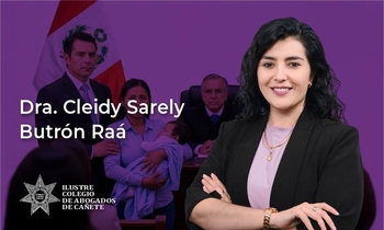 Proceso de Alimentos y Tutela Jurisdiccional