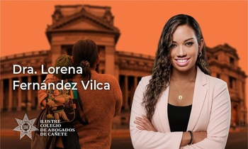 Proceso Judicial de Alimentos