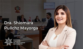 Técnicas de Litigación en Alegatos de Clausura