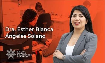 Régimen Especial de Contratación Administrativa de Servicios (CAS)