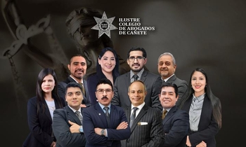 Derecho Procesal Penal y Litigación Oral