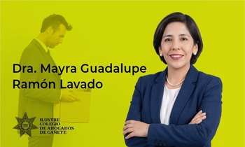Procedimiento Administrativo Disciplinario (Modificatorias)