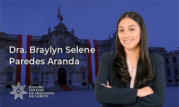 Reforma y Modernización de la Gestión Pública al 2030