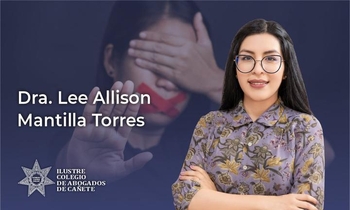 Violencia Contra los Integrantes del Grupo Familiar (Modificatorias)