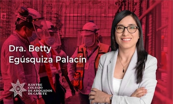 Sistema de Inspección del Trabajo y Rol de la SUNAFIL