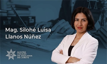 Redacción Profesional de Resoluciones Administrativos