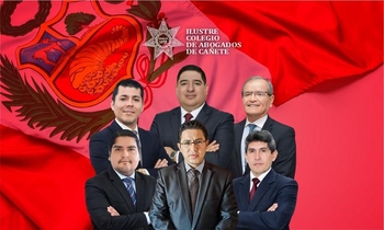 Curso de especialización en: Derecho Constitucional