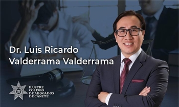 Estrategias de Postulación de la Demanda Laboral