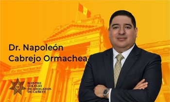 Desarrollo y Técnicas de la Audiencia Preliminar