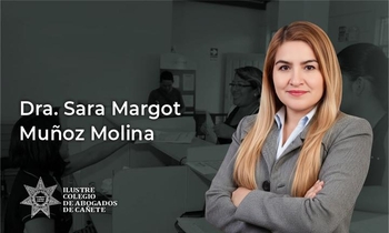 Organización y Funcionamiento de los Registros Públicos