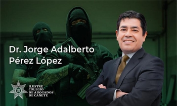 Crimen Organizado y Tráfico Ilícito de Drogas