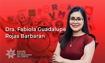 Financiamiento y Fiscalización de Organizaciones Políticas