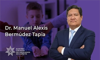 Obligación Alimentaria y Criterios de Proporcionalidad