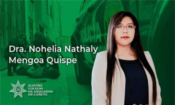 Protocolo de Actuación Interinstitucional en el Proceso Inmediato (Modificatorias)