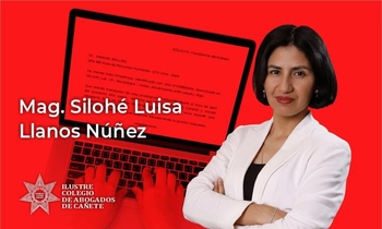 Redacción Profesional de Solicitudes Administrativos