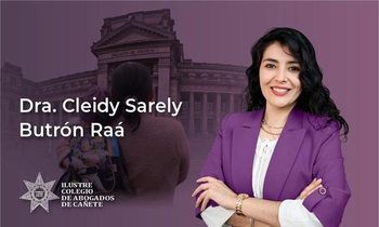 Estrategias y Redacción de la Demanda en el Proceso de Alimentos