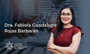 Sistema de Control Interno en la Administración Pública