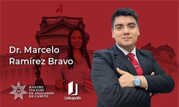 Equipo de Apoyo Jurisdiccional (Despacho del Juez/a)
