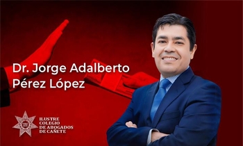 Peculado por Extensión y Apropiación Irregular