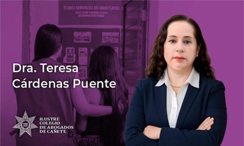 Rol de los Centros de Emergencia Mujer (CEM)