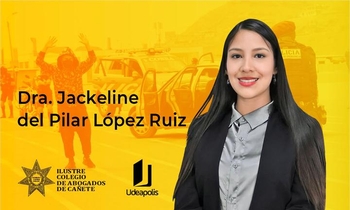 Crimen Organizado y Banda Criminal