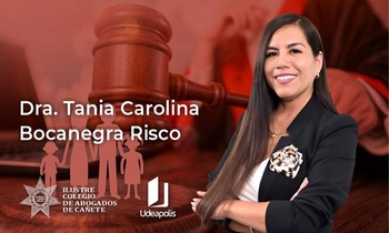 Proceso Especial en Casos de Violencia Familiar