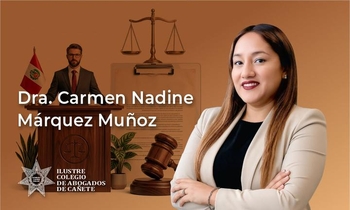 Construcción y Dominio del Argumento Jurídico