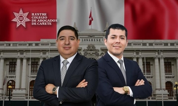 Bicameralidad y Reforma del Congreso