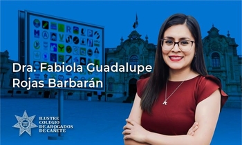 Propaganda, Publicidad y Neutralidad en el Periodo Electoral