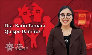 Tenencia Compartida y Principio del Interés Superior del Niño