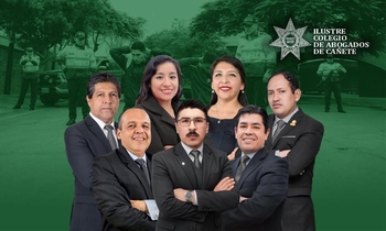 Actuación Policial, Fiscal y Judicial en Delitos Flagrantes y Seguridad Ciudadana