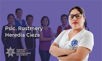 Rol del Equipo Multidisciplinario en Casos de Violencia Familiar
