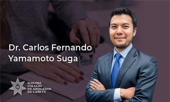 Procedimiento, Inscripción y Publicidad Registral