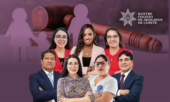 Derecho Procesal de Familia, Código de Los Niños y Adolescentes y Responsabilidad Penal Juvenil