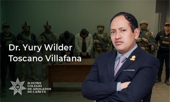 Delito de Organización Criminal y Crimen Organizado
