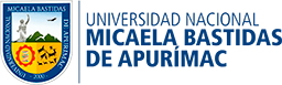 Universidad Nacional Micaela Bastidas de Apurímac