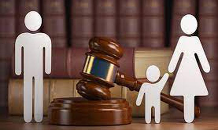 Curso Especializado en Derecho Civil: Derecho de Familia y Derecho de